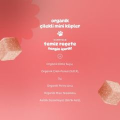Humm Organik Çilekli Vegan Mini Küpler 30gr
