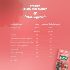 Humm Organik Çilekli Vegan Mini Küpler 30gr