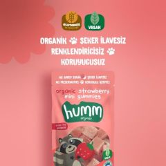 Humm Organik Çilekli Vegan Mini Küpler 30gr