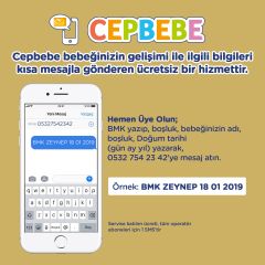 Bebelac Gold Bebek Devam Sütü No1 350gr