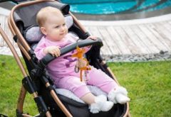 BabyJem Fox Puset Oyuncağı 867 Gri