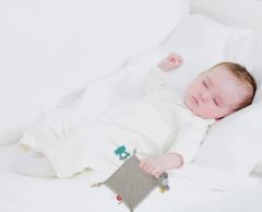 BabyJem Diş Kaşıyıcılı Uykucu Birdy 858 Kahve