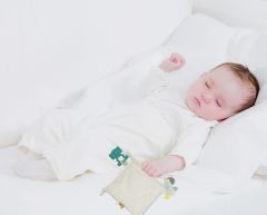 BabyJem Diş Kaşıyıcılı Uykucu Birdy 858 Mavi