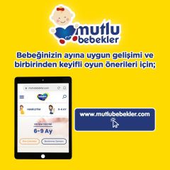 Bebelac Bebek Devam Sütü No1 250gr