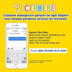 Bebelac Bebek Devam Sütü No1 250gr