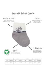 Bistyle 3'Lü Penye Soket Çorap BS10109 Gri