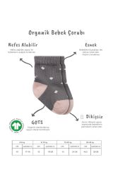 Bistyle 3'Lü Penye Kız Soket Çorap BS10112 Gri